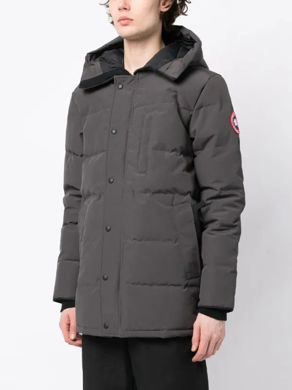 Canada Goose (Grey)
