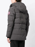Canada Goose (Grey)
