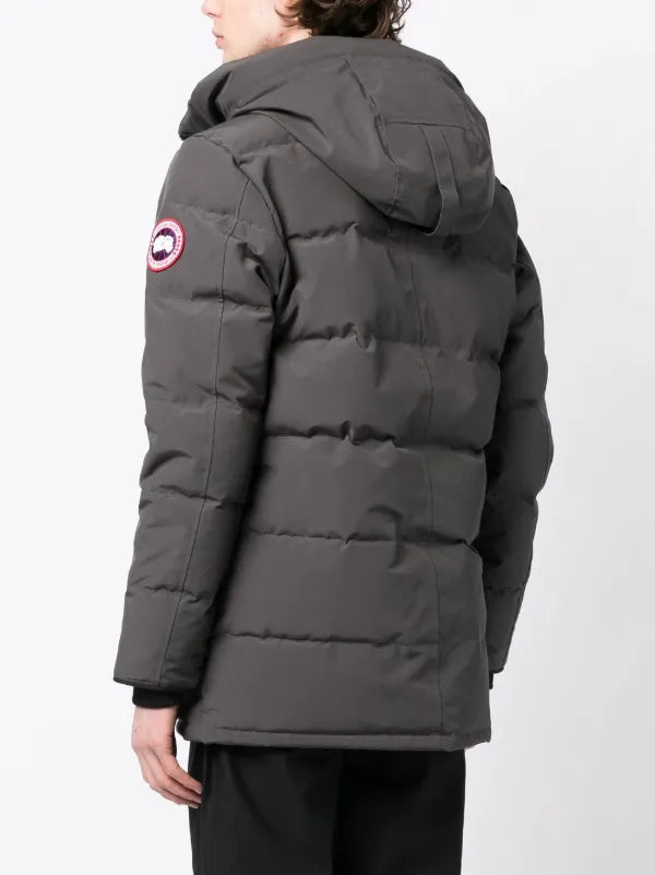 Canada Goose (Grey)